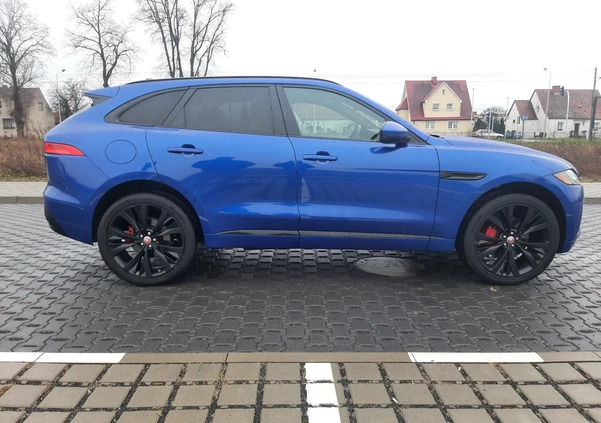 Jaguar F-Pace cena 149900 przebieg: 66895, rok produkcji 2018 z Miastko małe 529